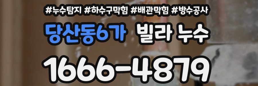 당산동6가 빌라 누수