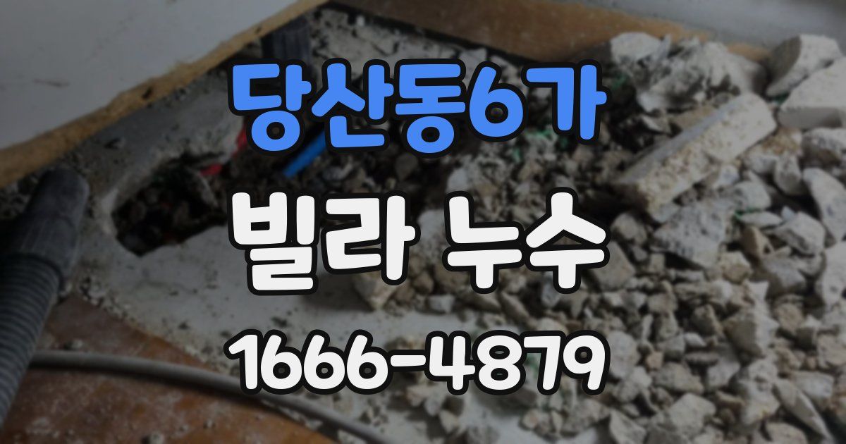 당산동6가 빌라 누수