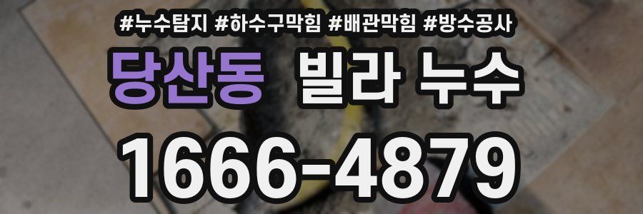 당산동 빌라 누수