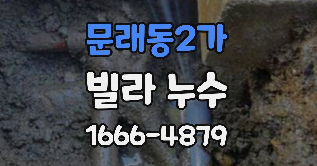 문래동2가 빌라 누수