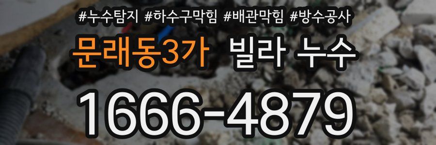 문래동3가 빌라 누수