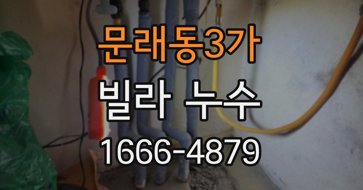 문래동3가 빌라 누수