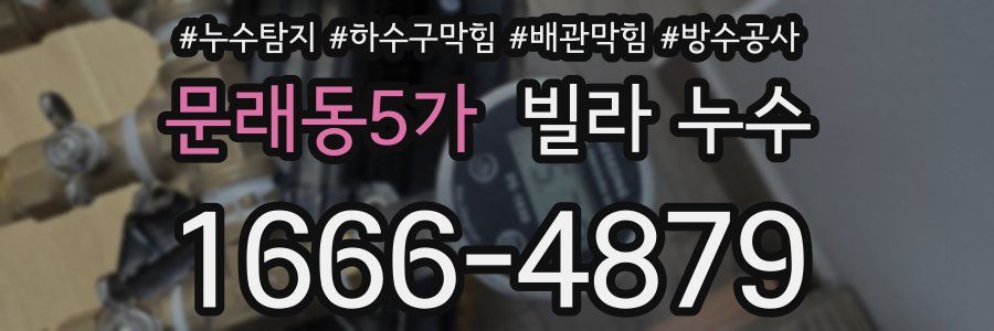 문래동5가 빌라 누수