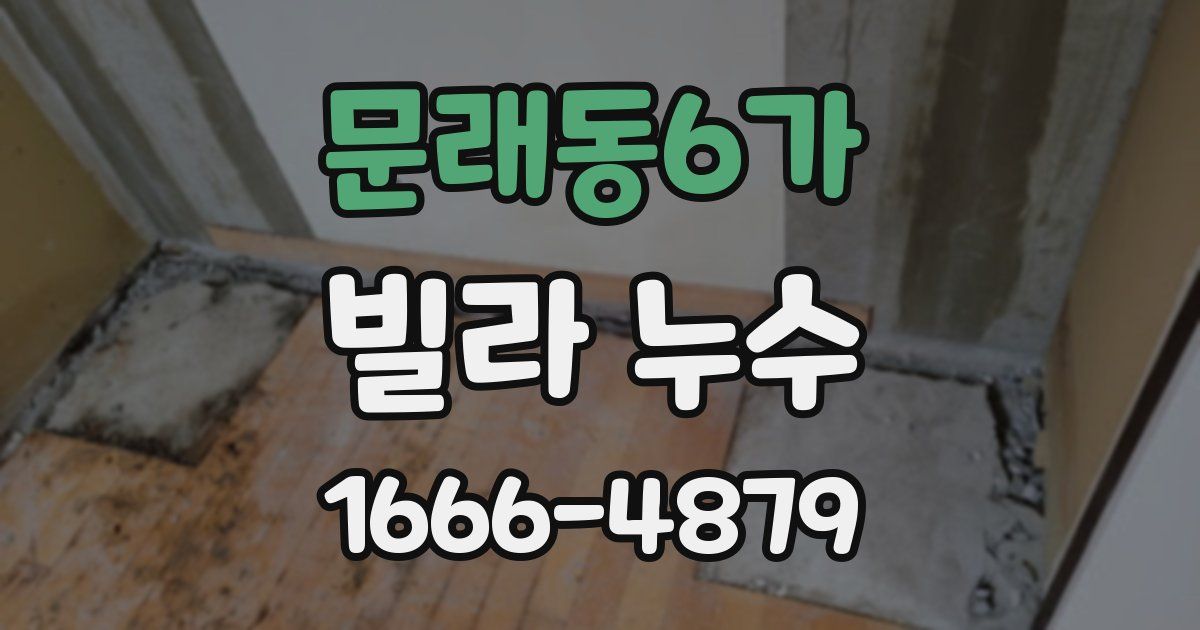 문래동6가 빌라 누수