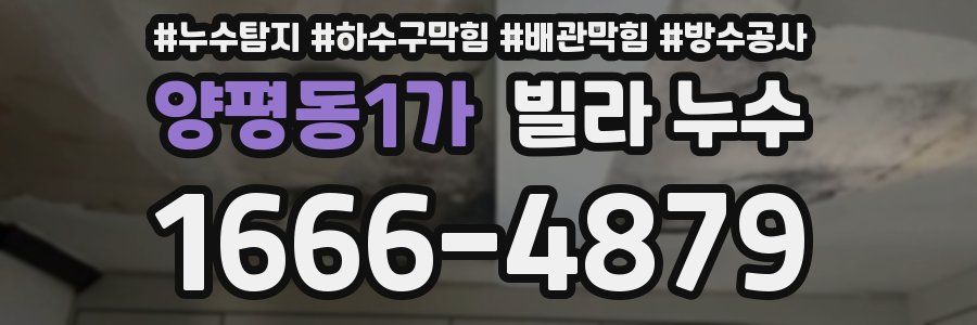 양평동1가 빌라 누수