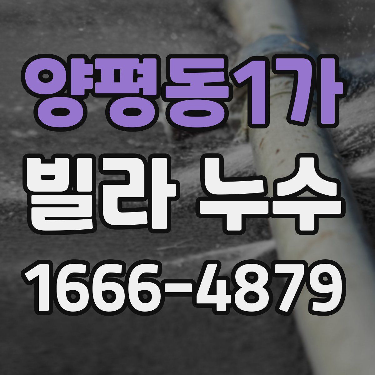 양평동1가 빌라 누수