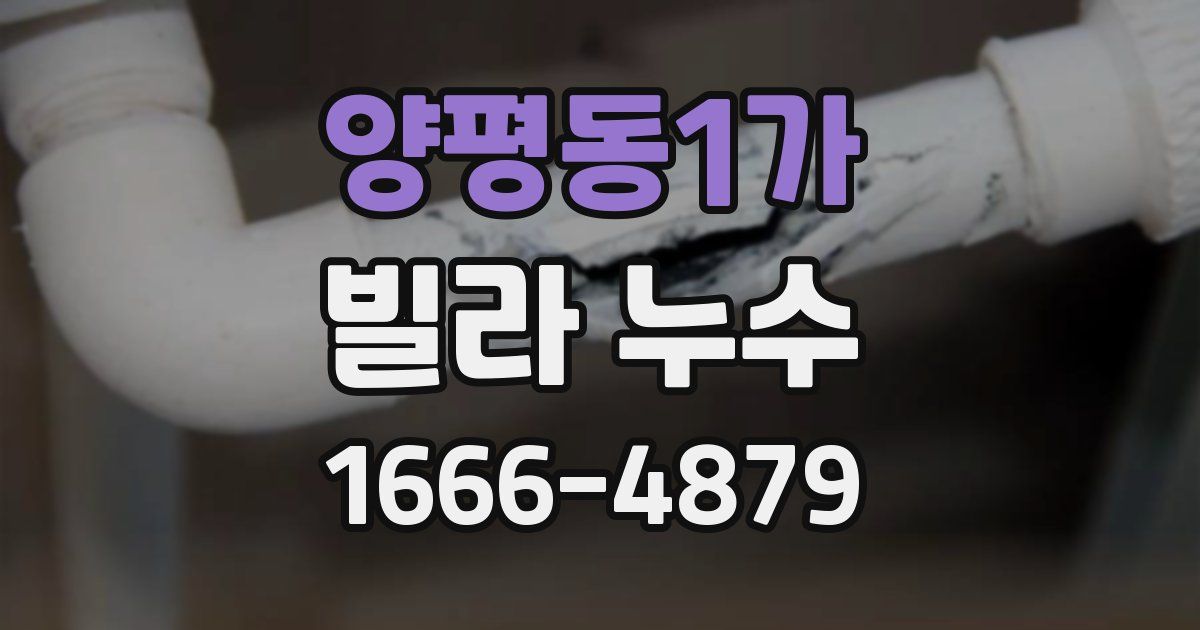 양평동1가 빌라 누수