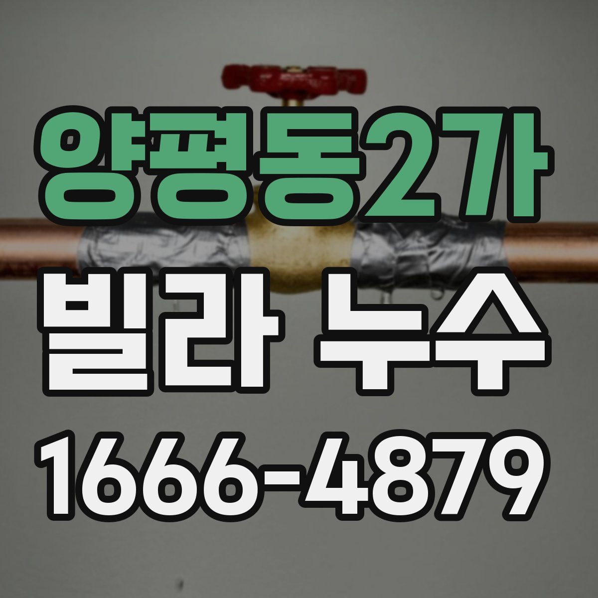 양평동2가 빌라 누수