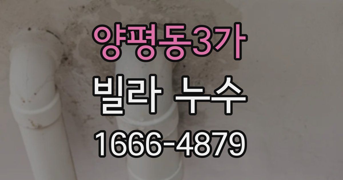 양평동3가 빌라 누수