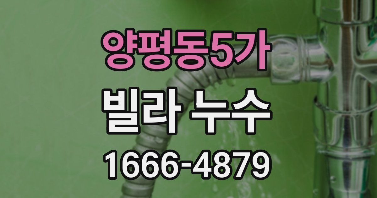 양평동5가 빌라 누수