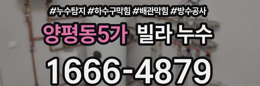 양평동5가 빌라 누수