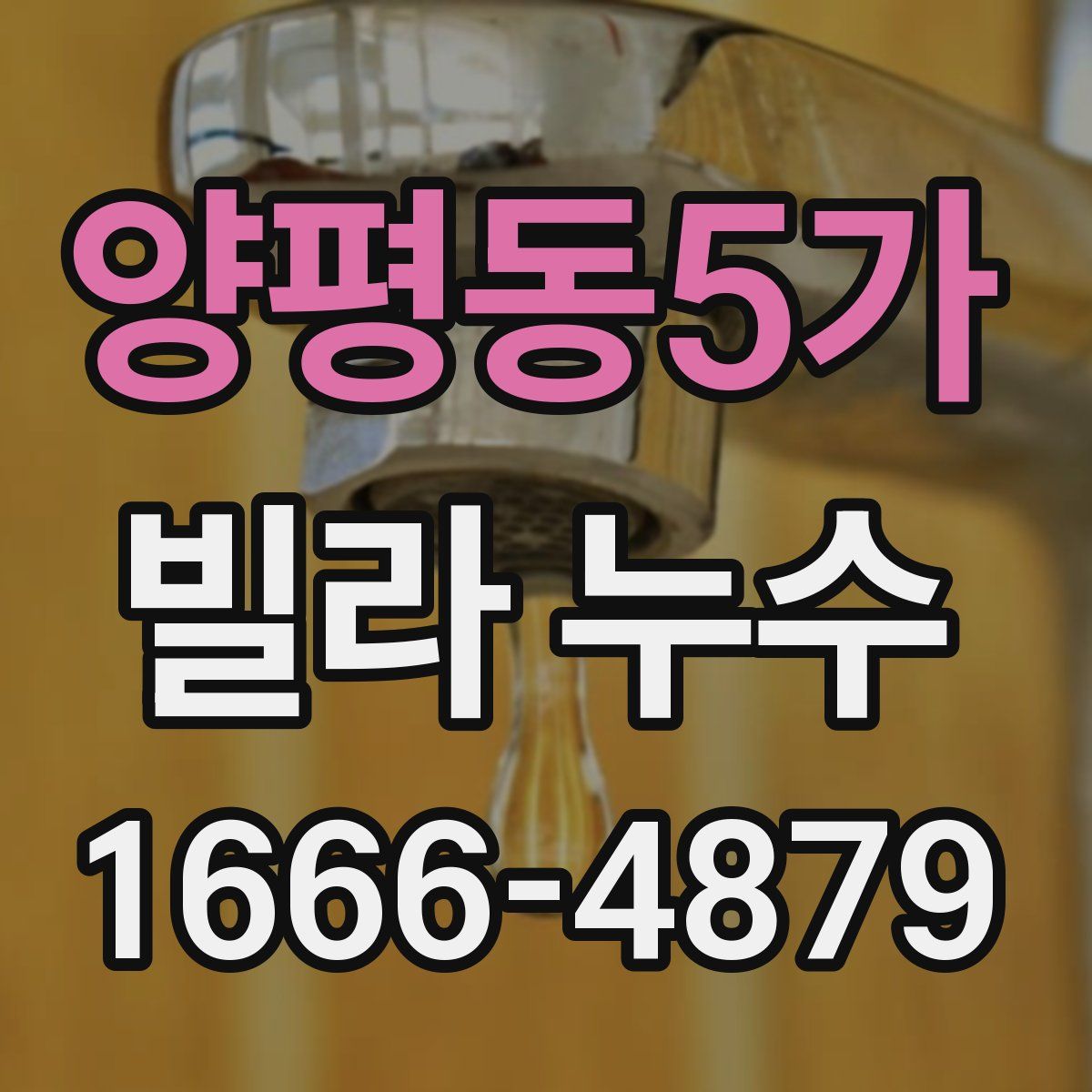 양평동5가 빌라 누수