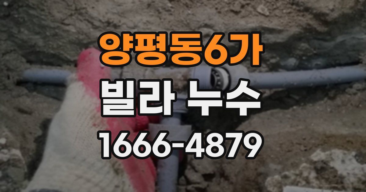 양평동6가 빌라 누수