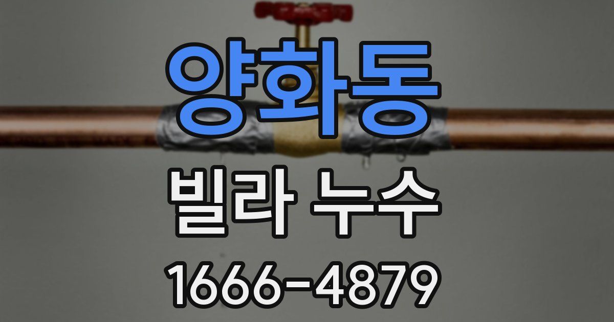 양화동 빌라 누수