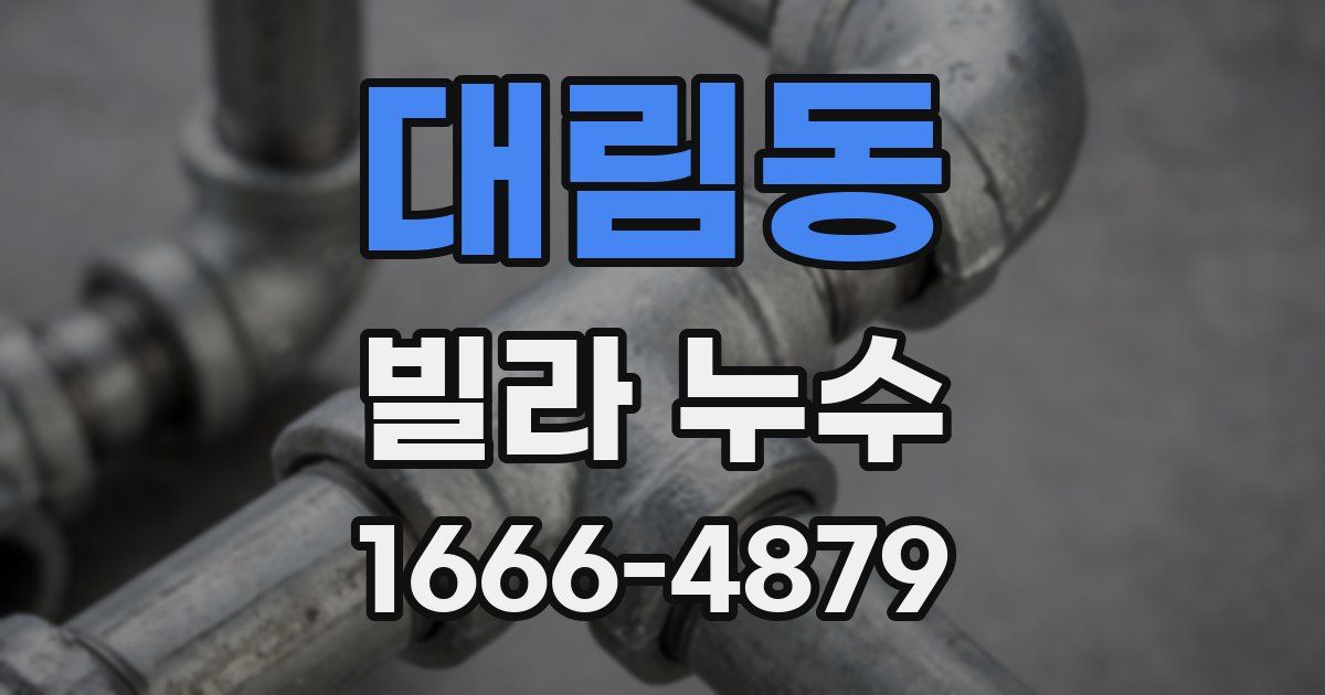 대림동 빌라 누수