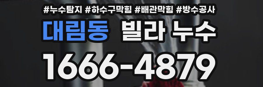 대림동 빌라 누수