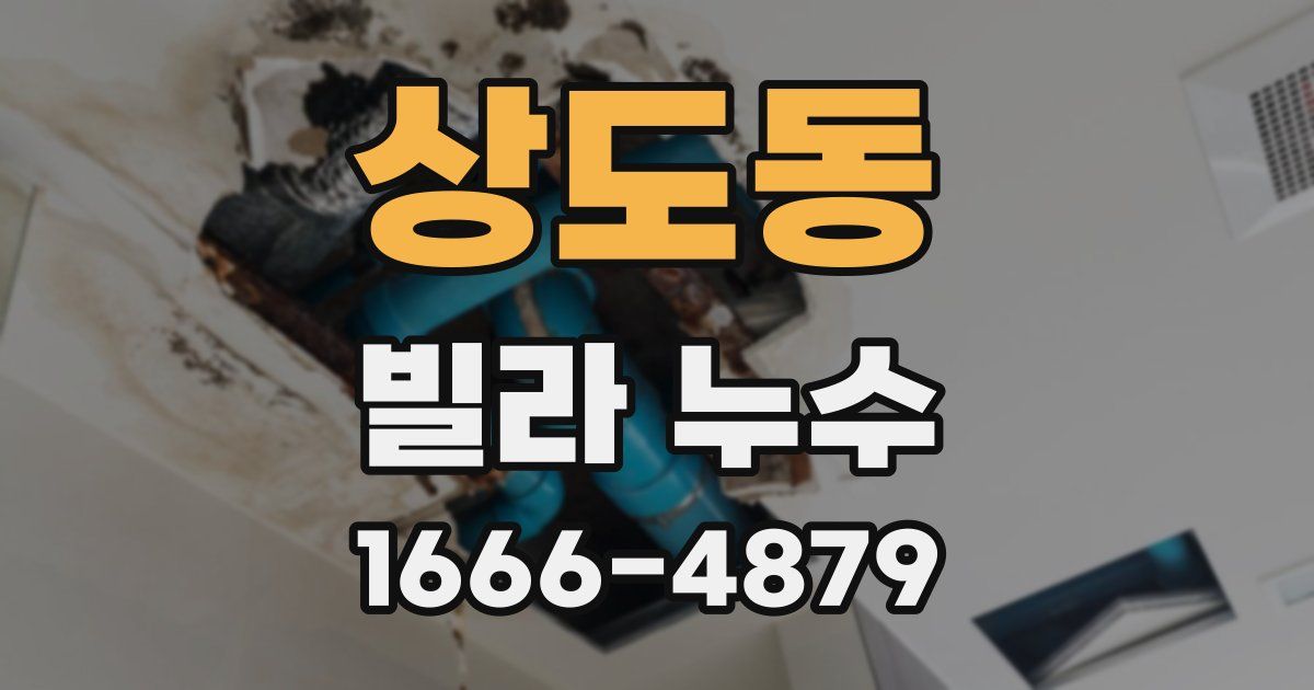 상도동 빌라 누수