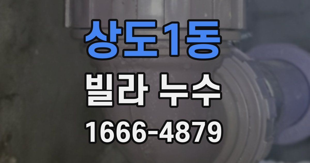 상도1동 빌라 누수