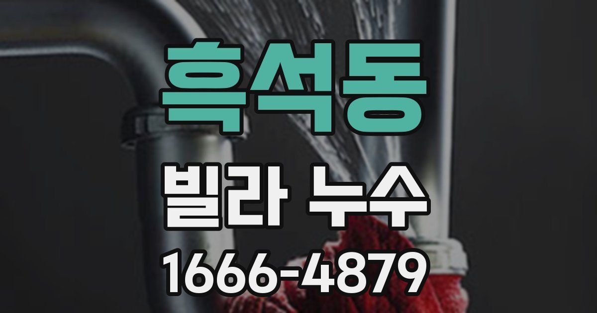 흑석동 빌라 누수