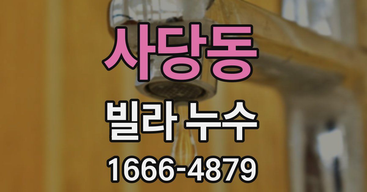 사당동 빌라 누수