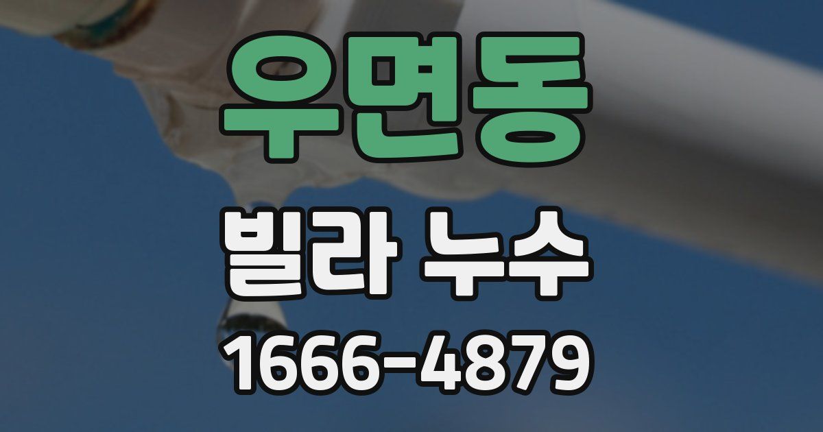 우면동 빌라 누수