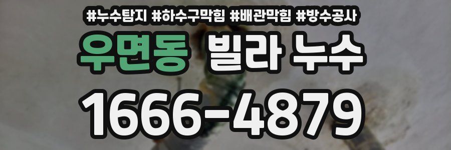 우면동 빌라 누수