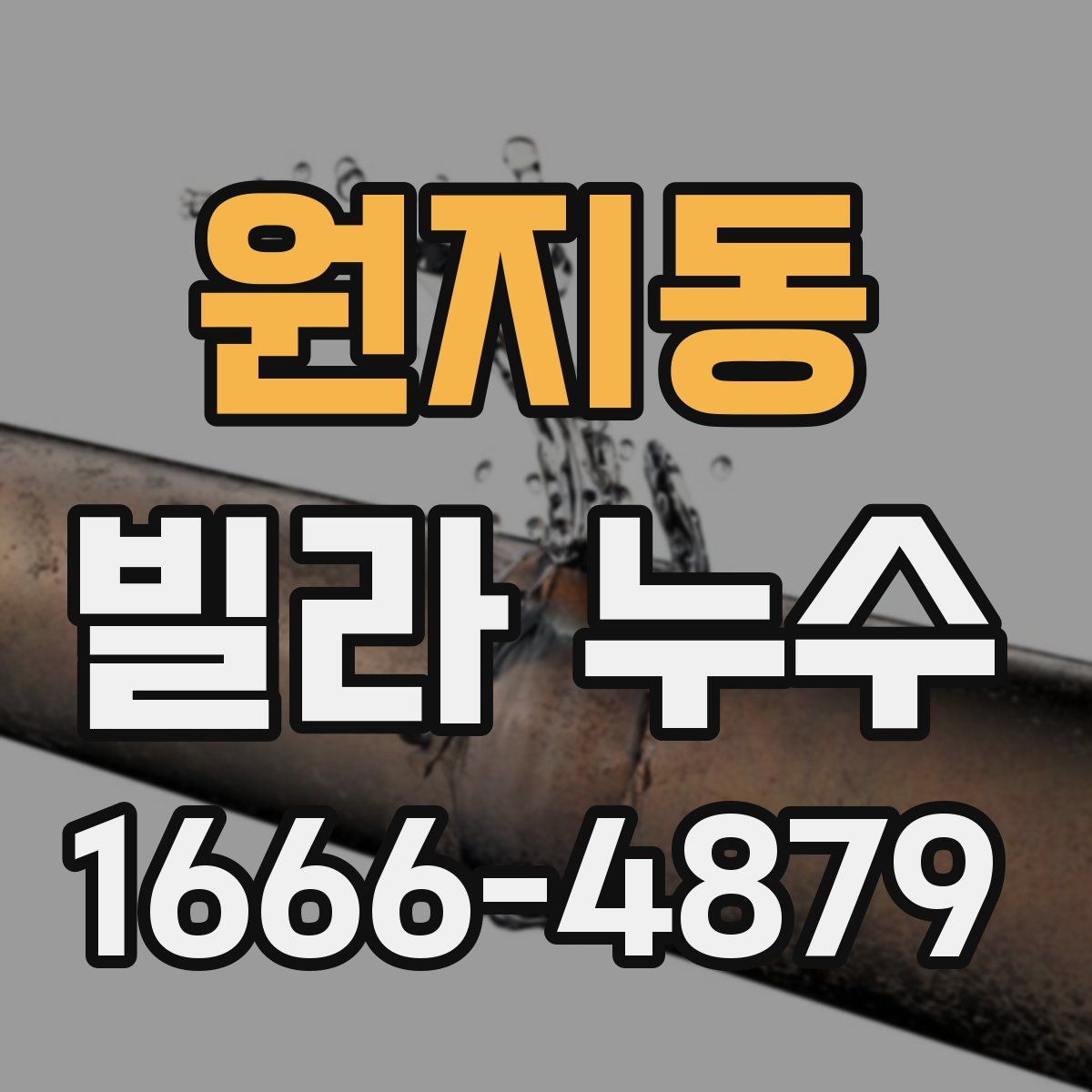 원지동 빌라 누수