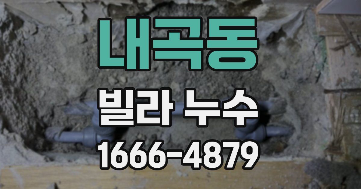 내곡동 빌라 누수