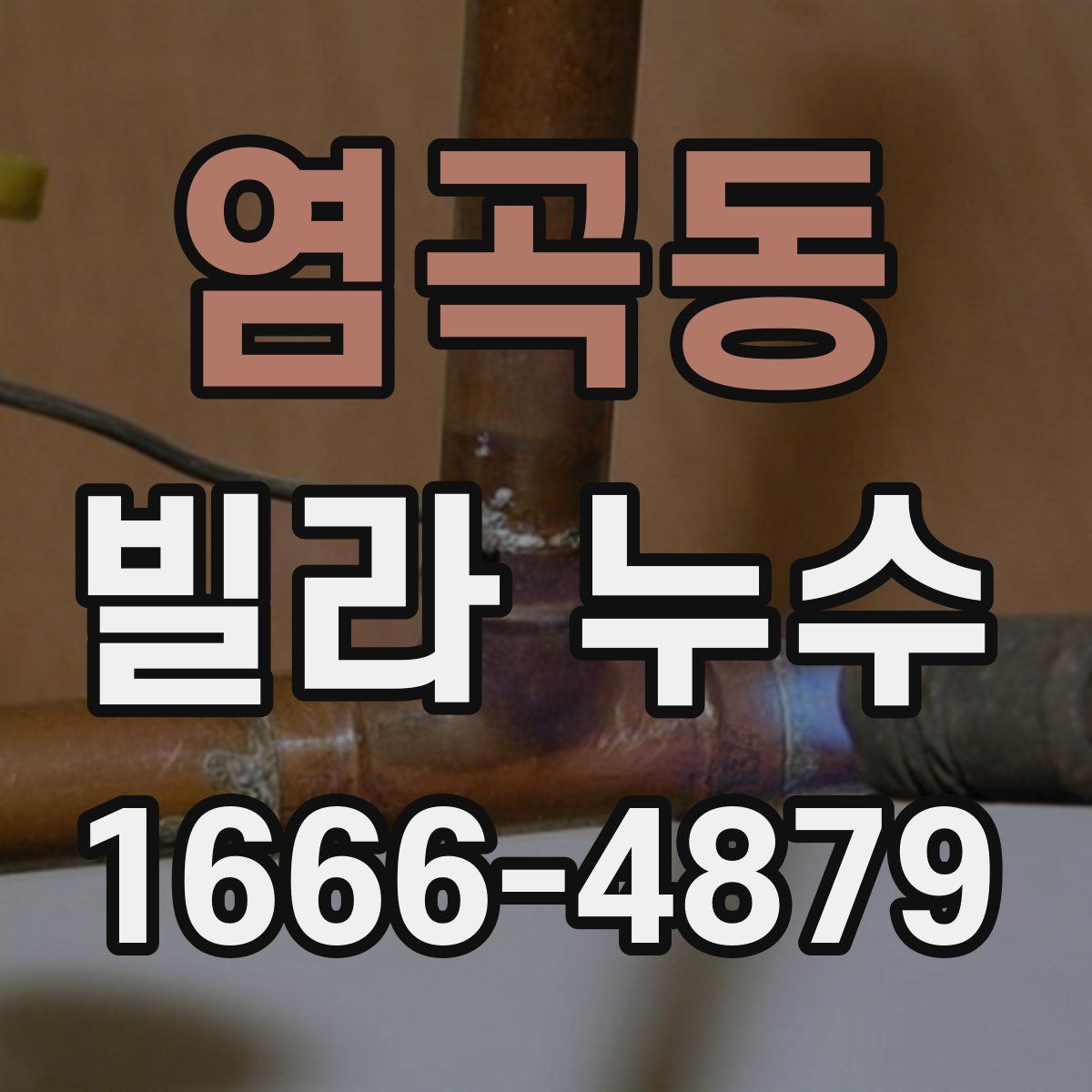 염곡동 빌라 누수