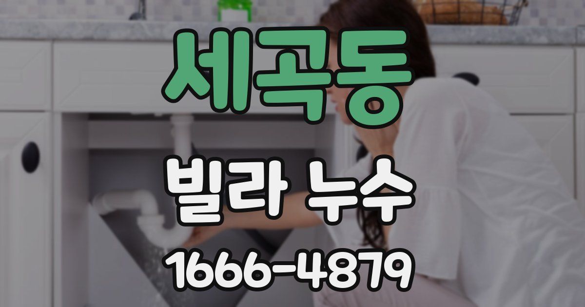세곡동 빌라 누수