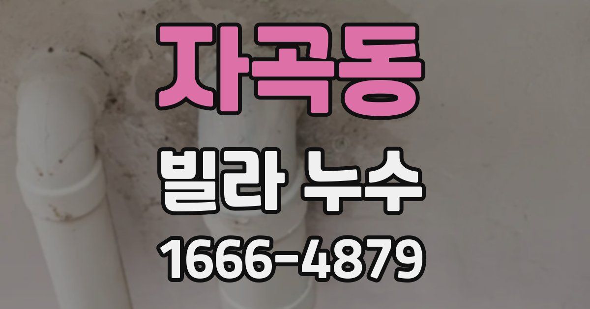 자곡동 빌라 누수