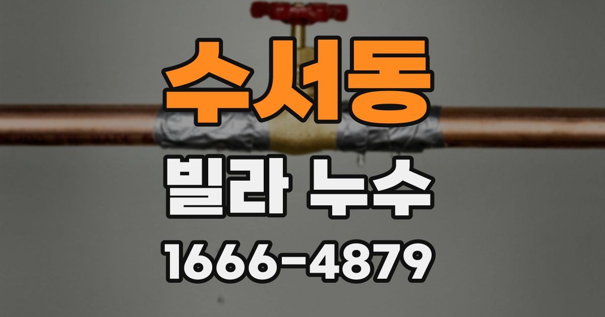 수서동 빌라 누수