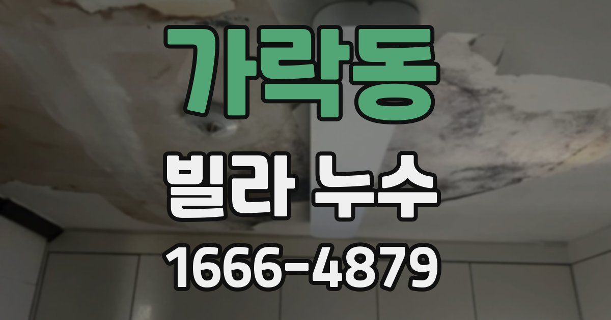가락동 빌라 누수