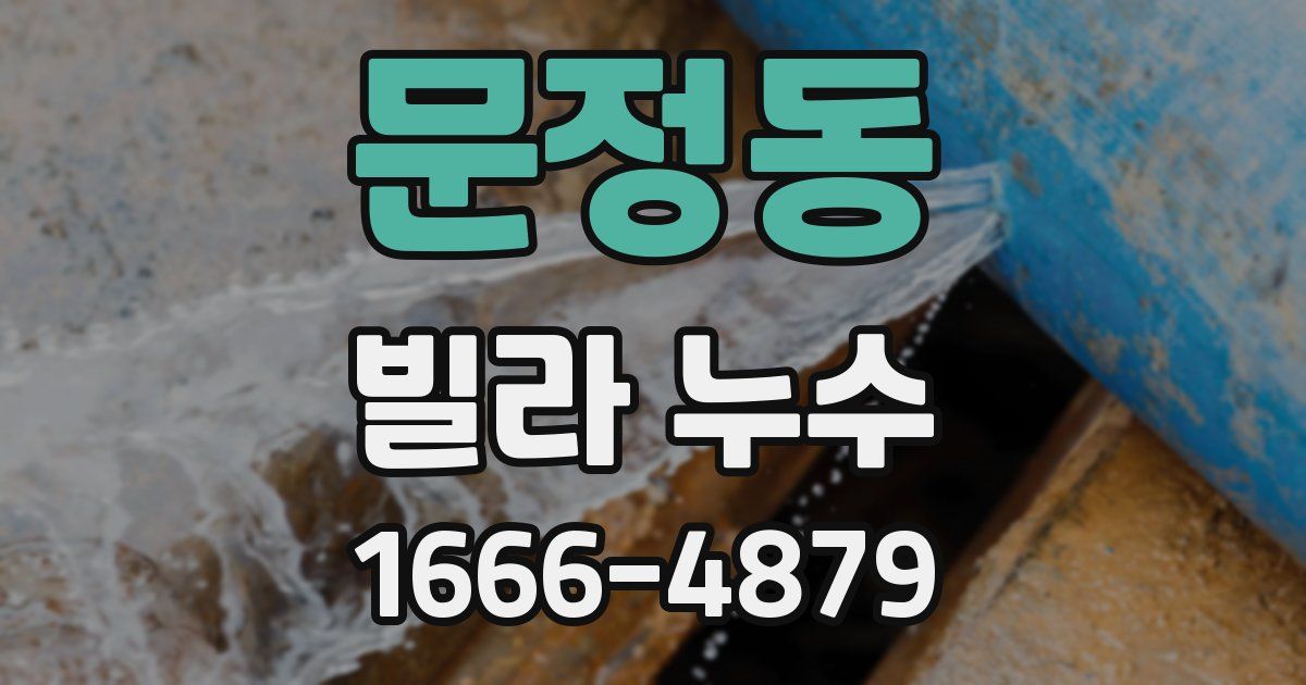 문정동 빌라 누수