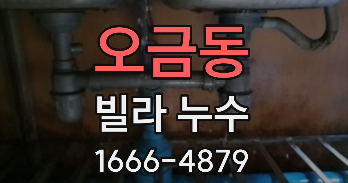오금동 빌라 누수
