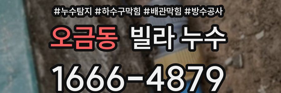 오금동 빌라 누수