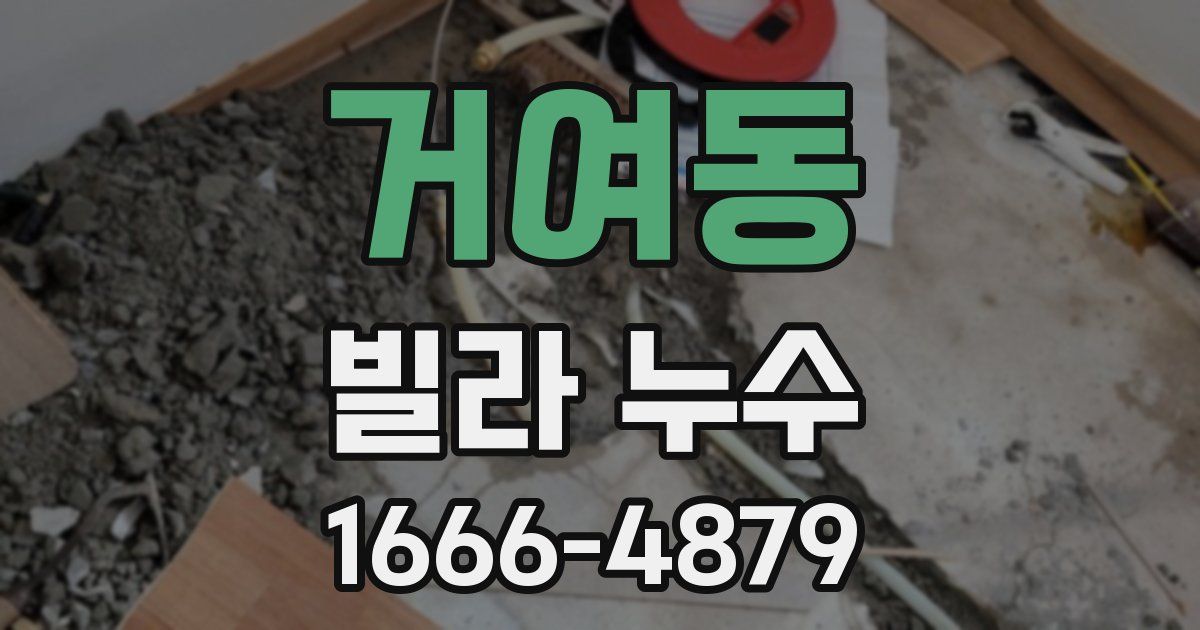 거여동 빌라 누수