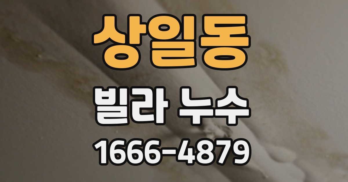 상일동 빌라 누수