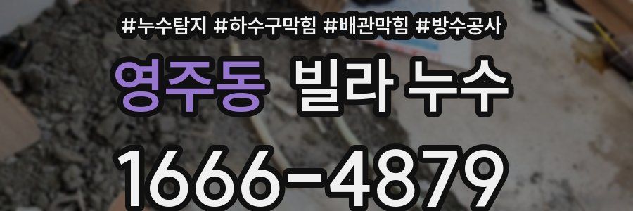 영주동 빌라 누수