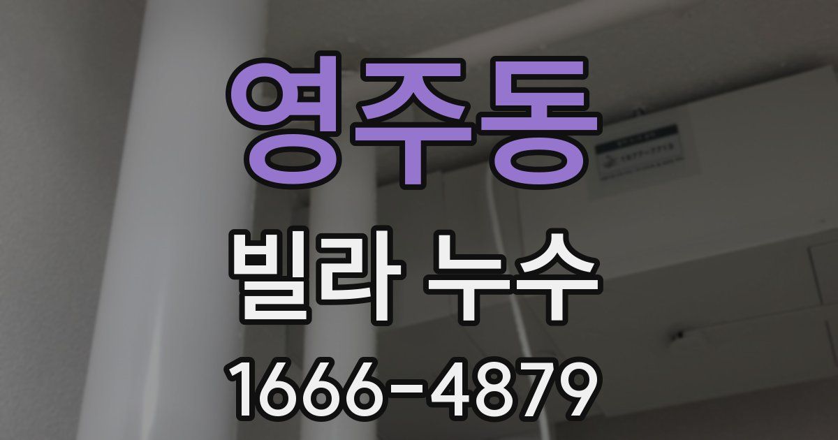 영주동 빌라 누수