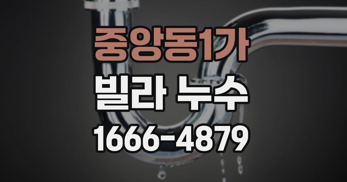 중앙동1가 빌라 누수