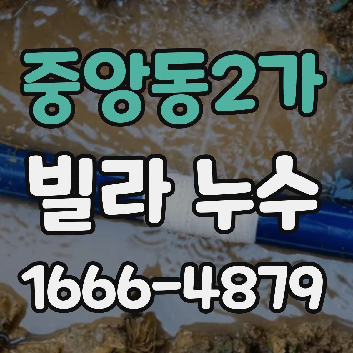 중앙동2가 빌라 누수