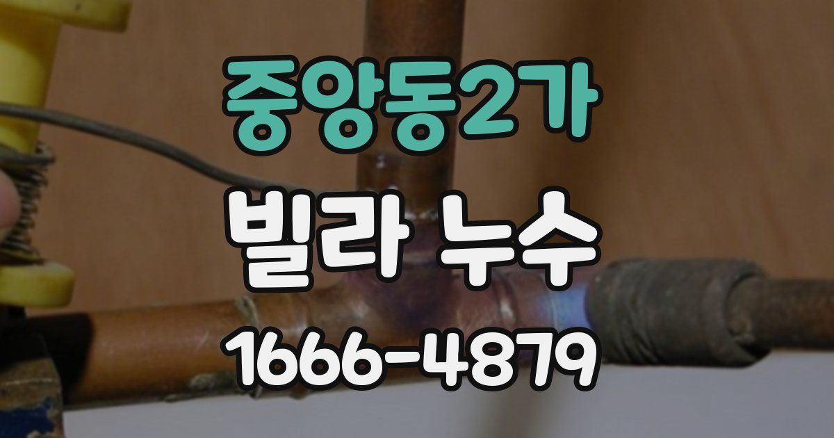 중앙동2가 빌라 누수