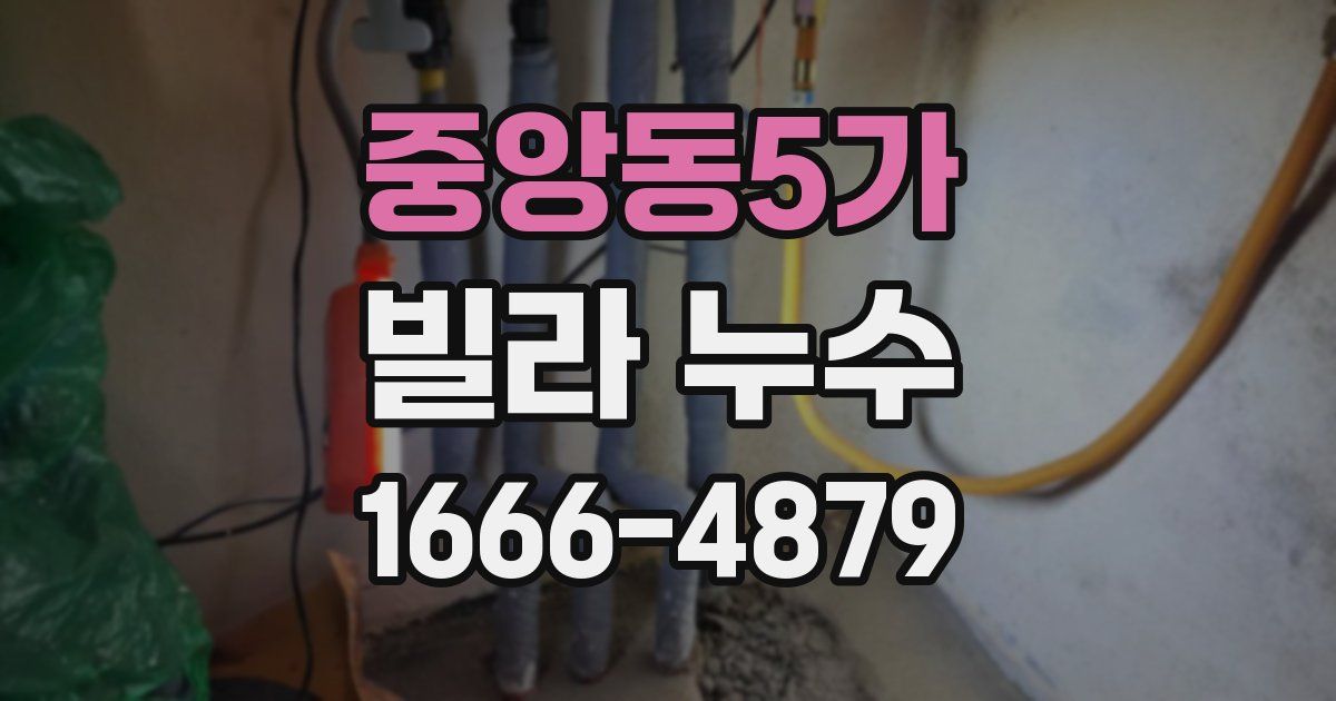 중앙동5가 빌라 누수