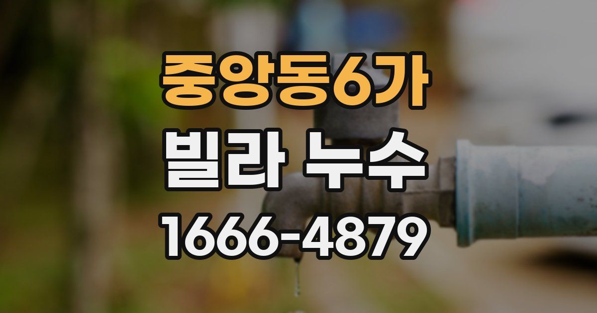중앙동6가 빌라 누수