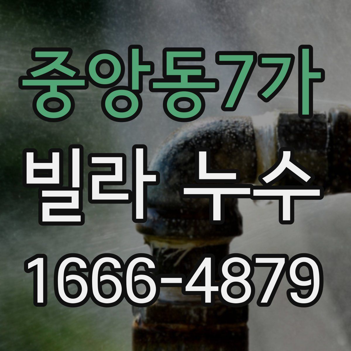 중앙동7가 빌라 누수