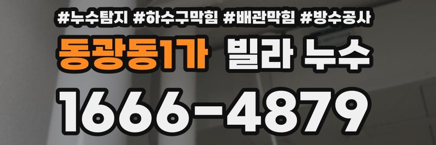 동광동1가 빌라 누수