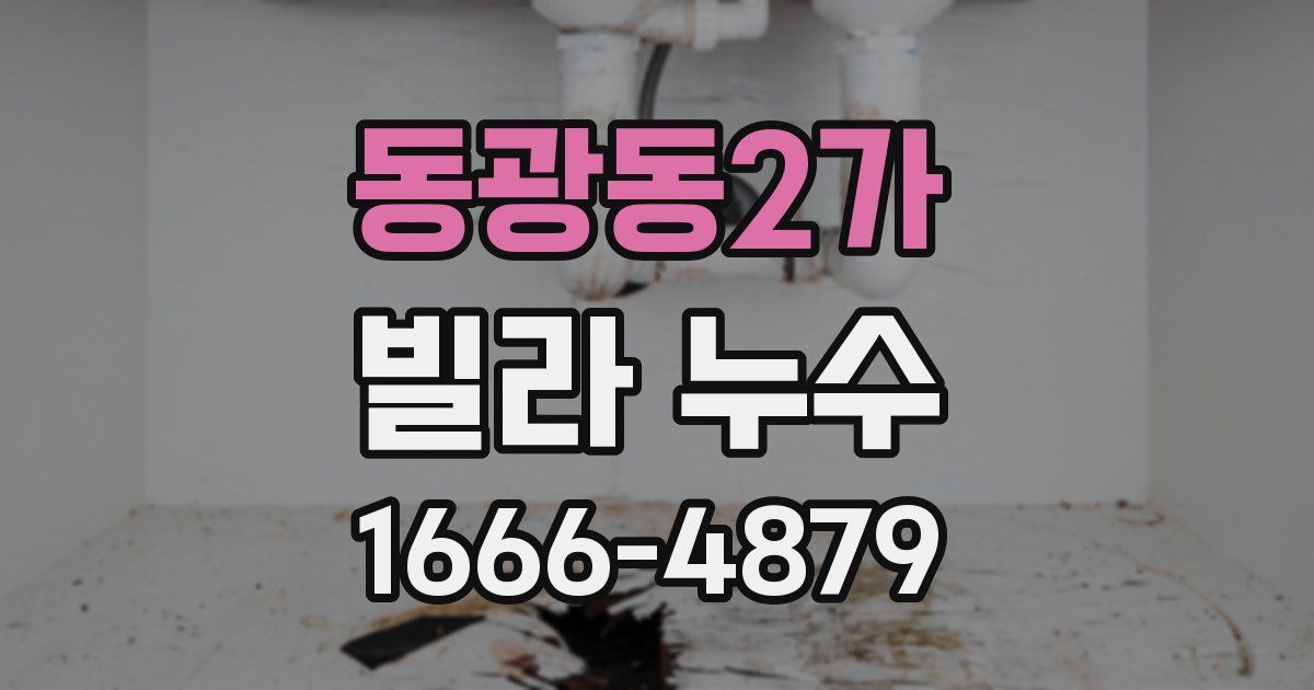 동광동2가 빌라 누수