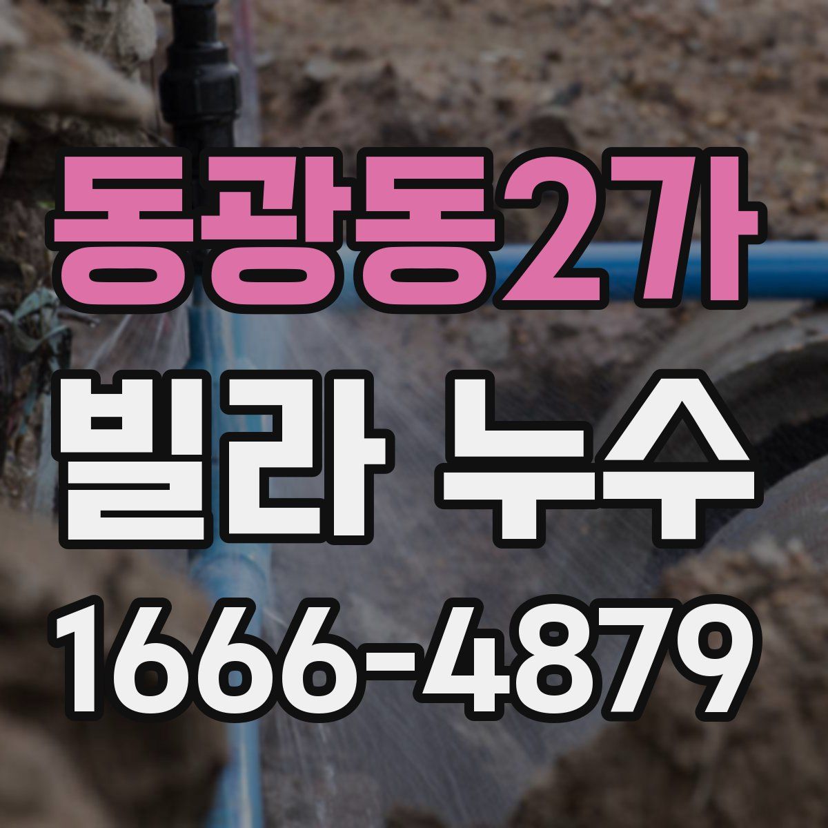동광동2가 빌라 누수