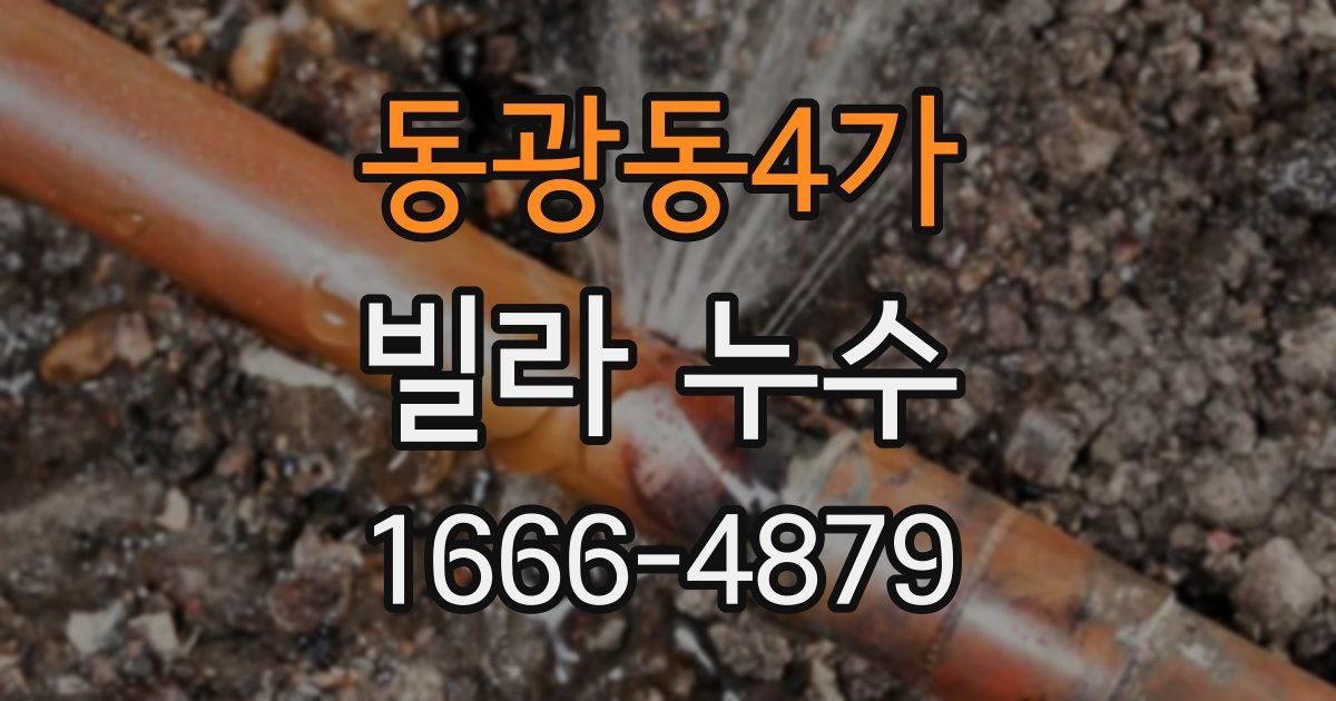 동광동4가 빌라 누수